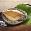 極冷 蝦夷アワビ 5個入り（1個90gから100g）